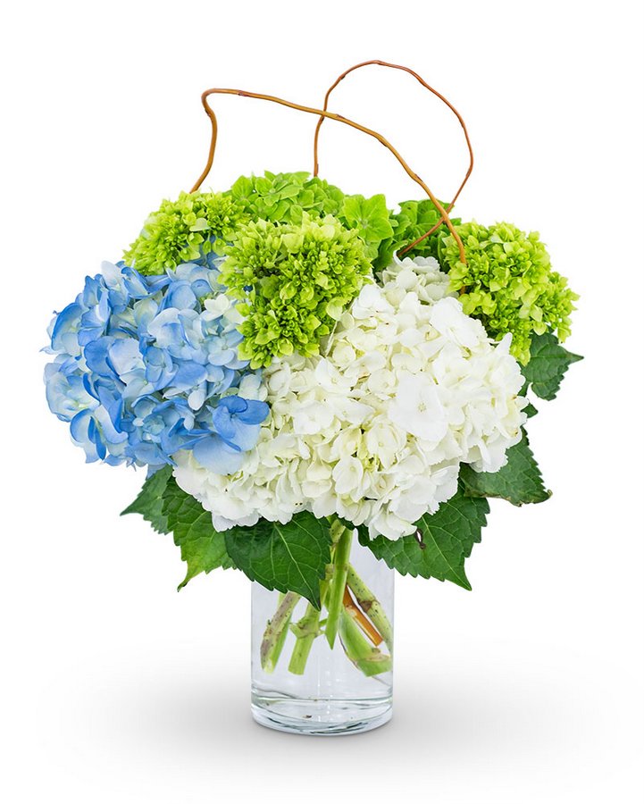 Hydrangea Perfection Flower Bouquet